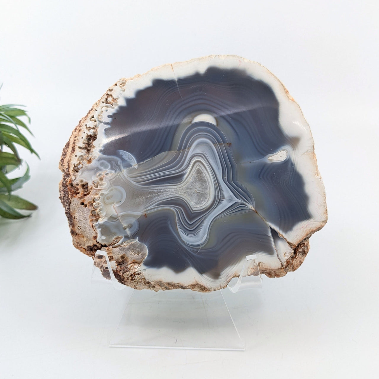 Agate 4.3’’ Polished Slab #LV6682 - $42