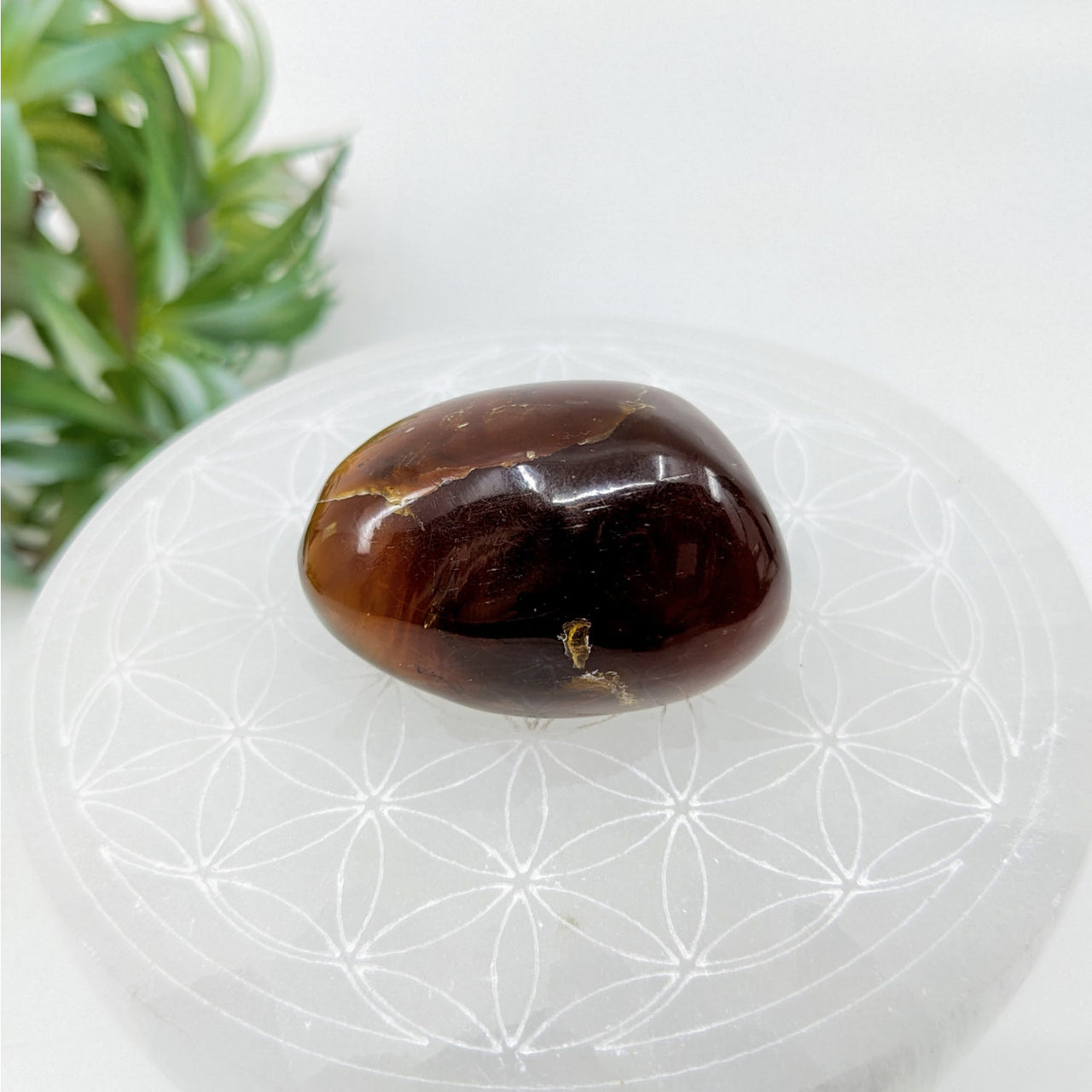 Amber 1.5’’ Polished Stone Pebble #LV6036 - $39