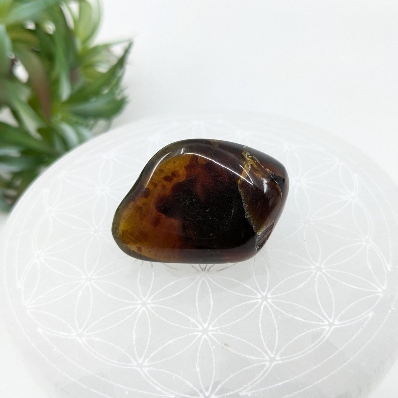 Amber 1.6’’ Pebble #LV6037 - $25