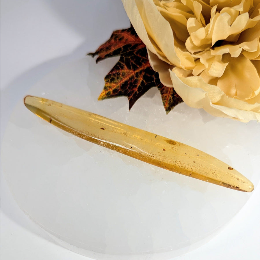 Amber 5’’ Polished w Insect Inclusions #BC0000 - $26