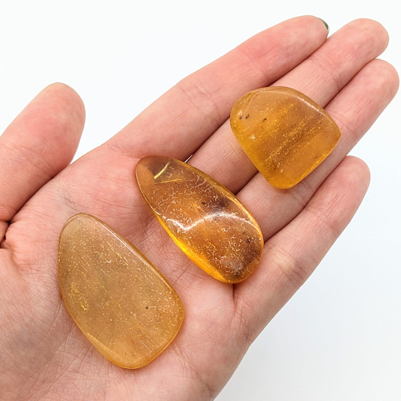 Amber Copal pieces with insect inclusions displayed on a hand for product LV1874