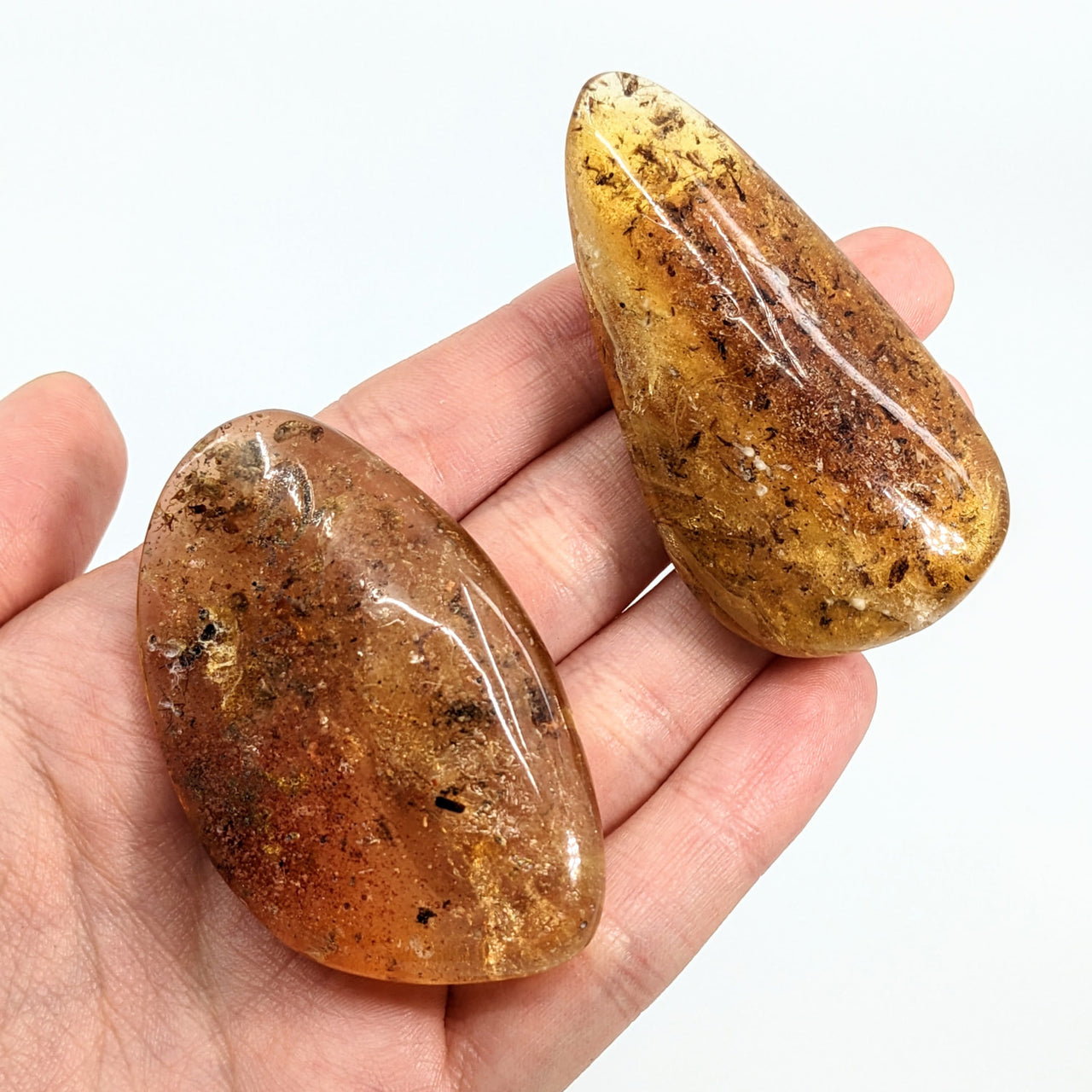 Amber Copal 2.4’ Polished Stone with Insect Inclusions #LV1868