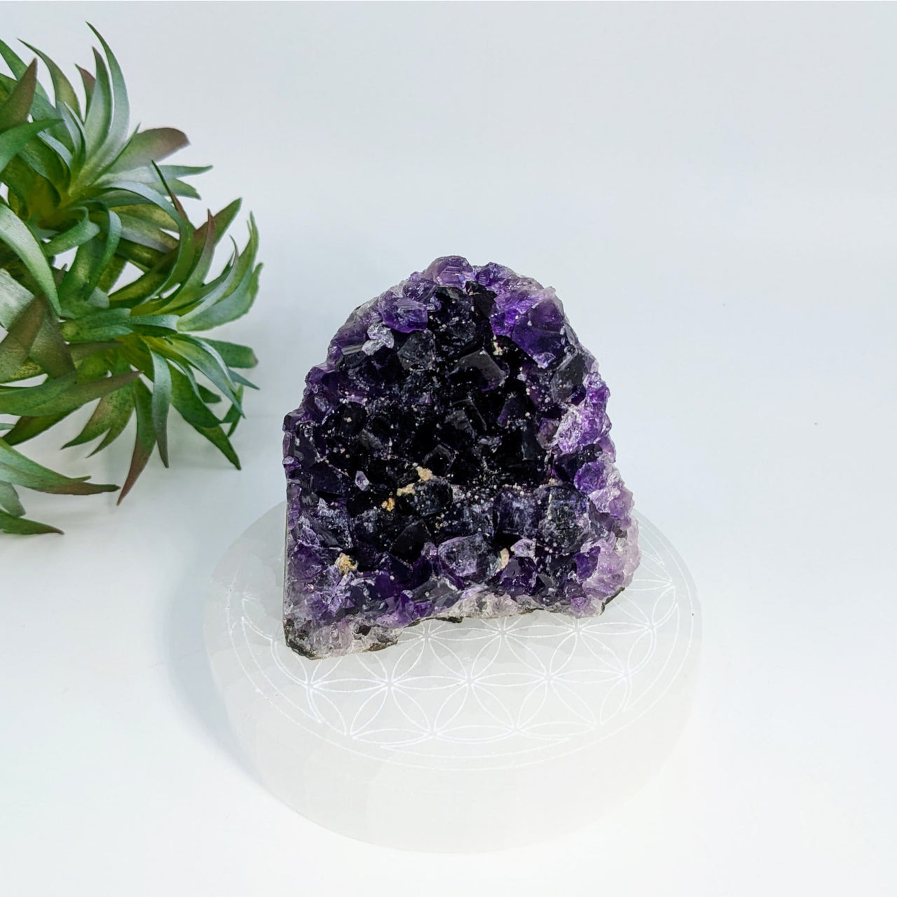 Deep purple Amethyst crystal cluster in Cut Base Geode LV6913 showcasing jagged formations