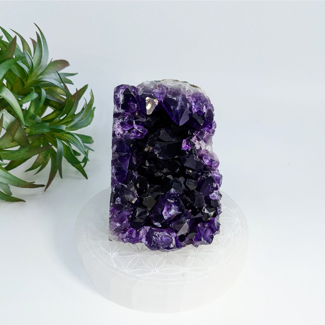 Deep purple amethyst crystal cluster in Amethyst 2.8’’ Cut Base Geode #LV6914