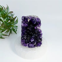 Thumbnail for Deep purple amethyst crystal cluster in Amethyst 2.8’’ Cut Base Geode #LV6914