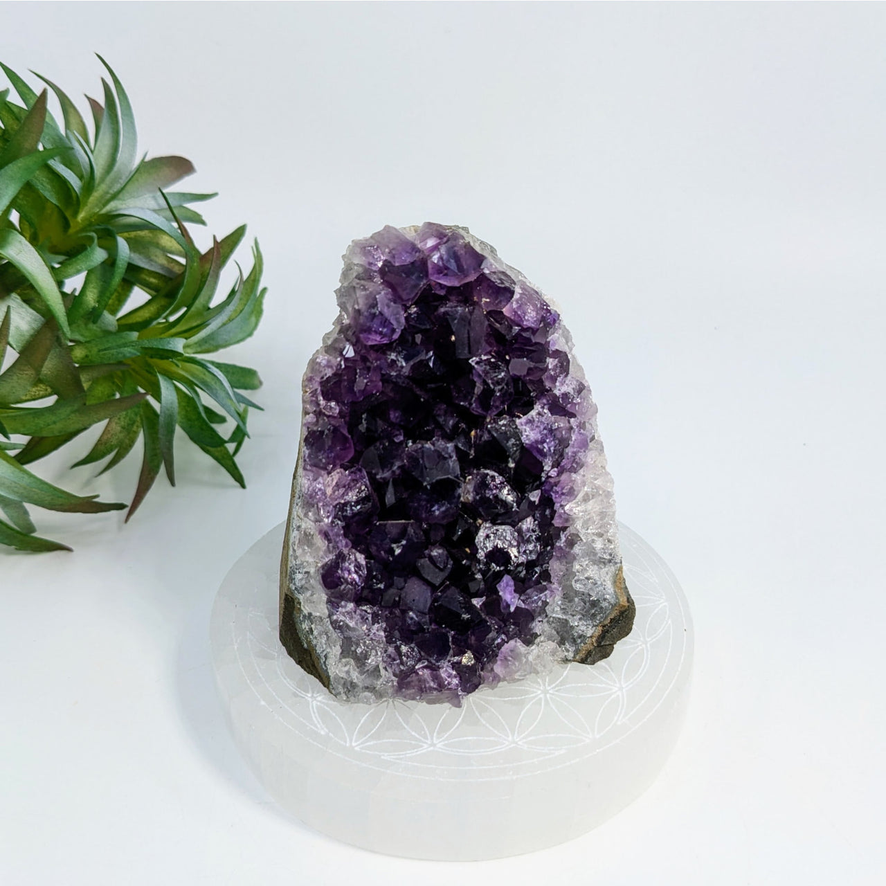 Deep purple Amethyst Cut Base Geode #LV6908 showcasing stunning crystalline formations