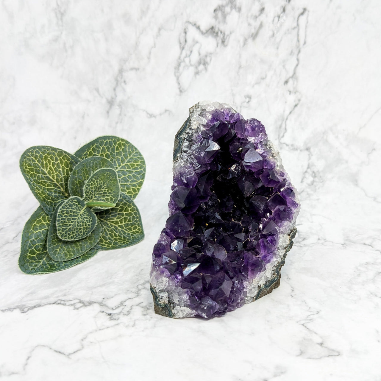 Amethyst crystal with green leaf - Amethyst 3.2’ Geode Freeform #LV5766