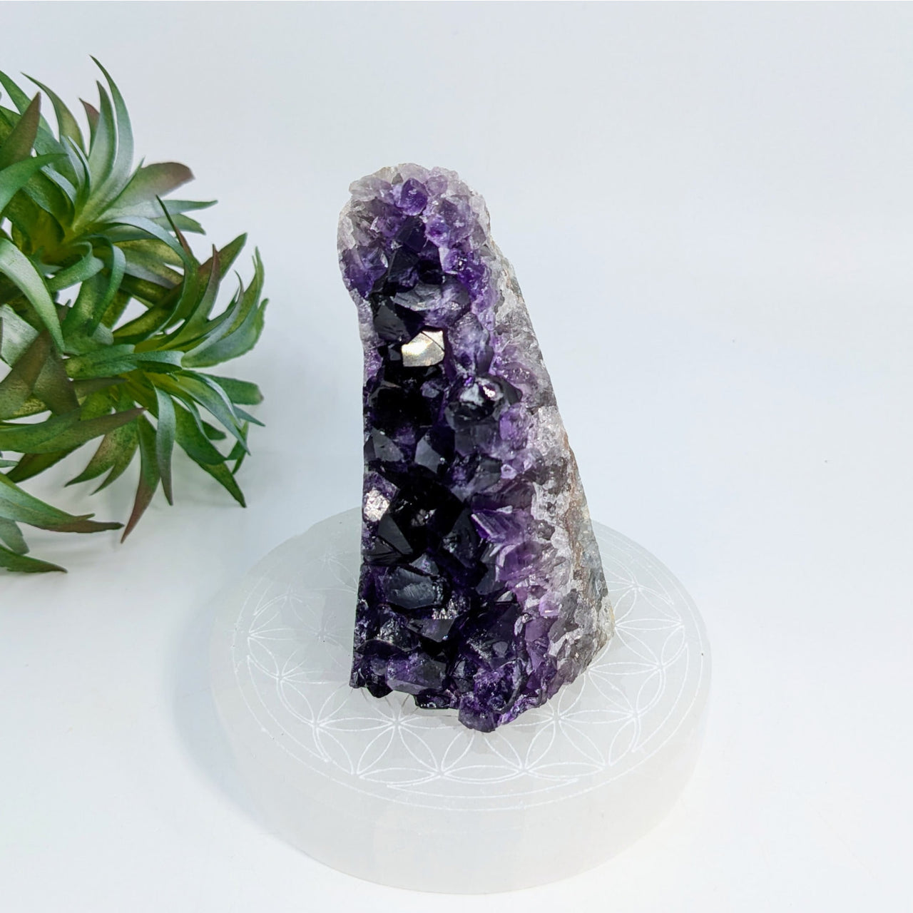 Deep purple Amethyst crystal cluster on white base from Amethyst 3.4 inch cut base geode