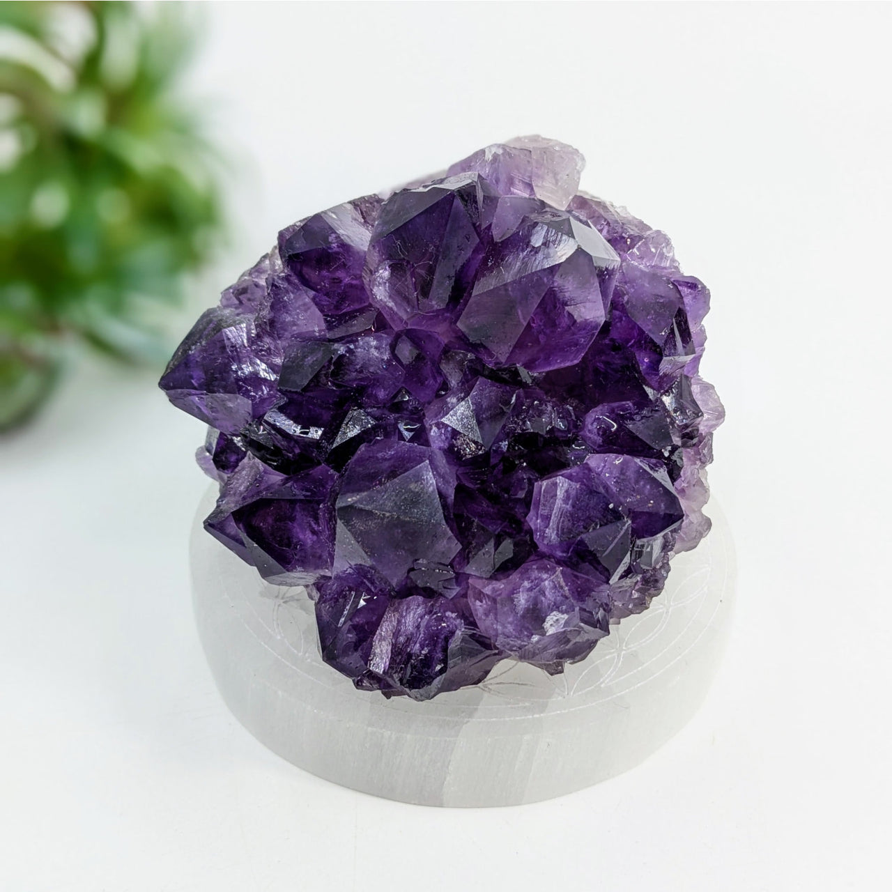 Deep purple Amethyst crystal cluster in Cut Base Geode #LV6906 with geometric formations