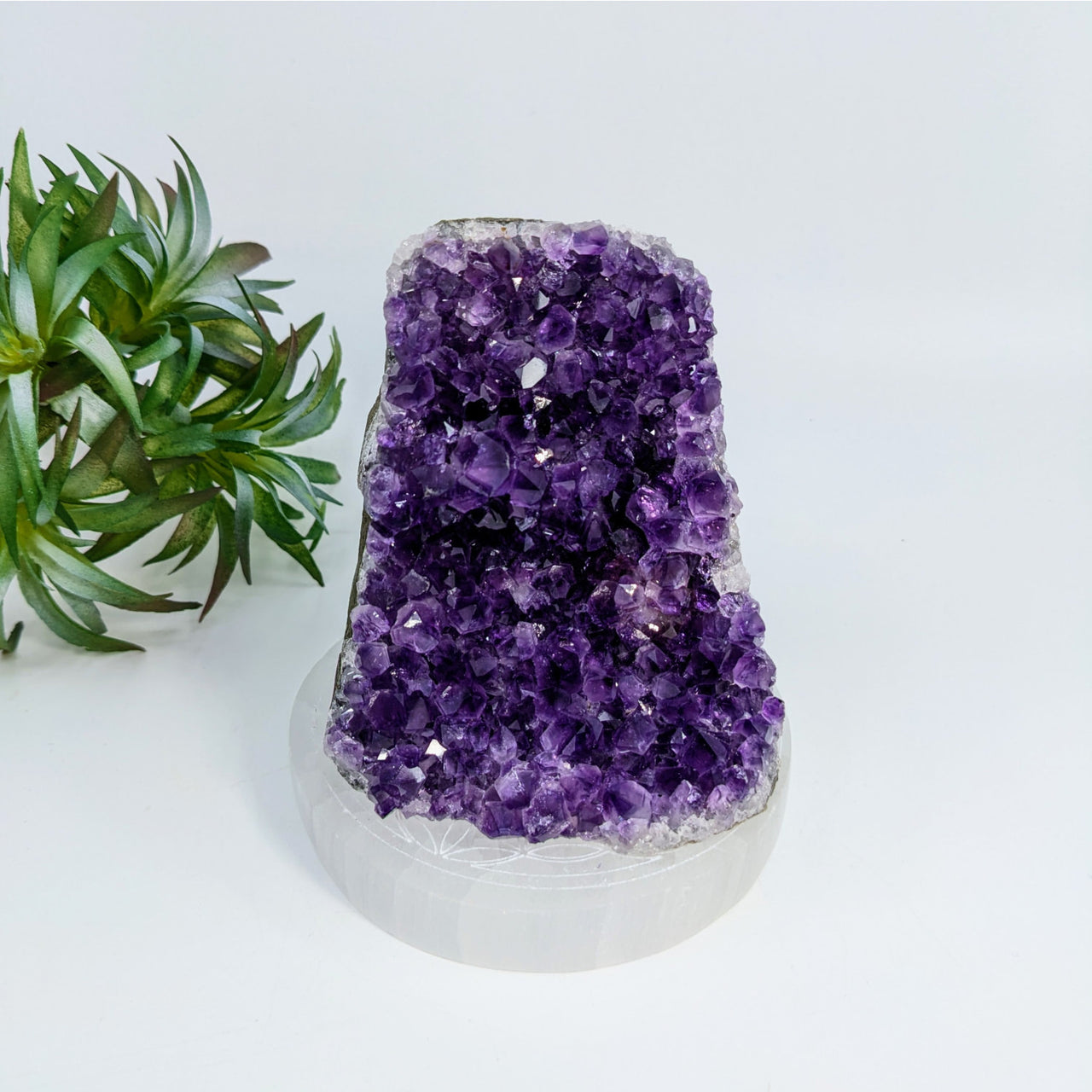 Deep purple amethyst crystal cluster in 3.6 inch cut base geode #LV6916 display