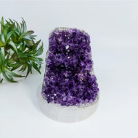 Thumbnail for Deep purple amethyst crystal cluster in 3.6 inch cut base geode #LV6916 display