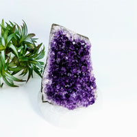 Thumbnail for Deep purple Amethyst crystal cluster in Cut Base Geode #LV6915 with pointed formations
