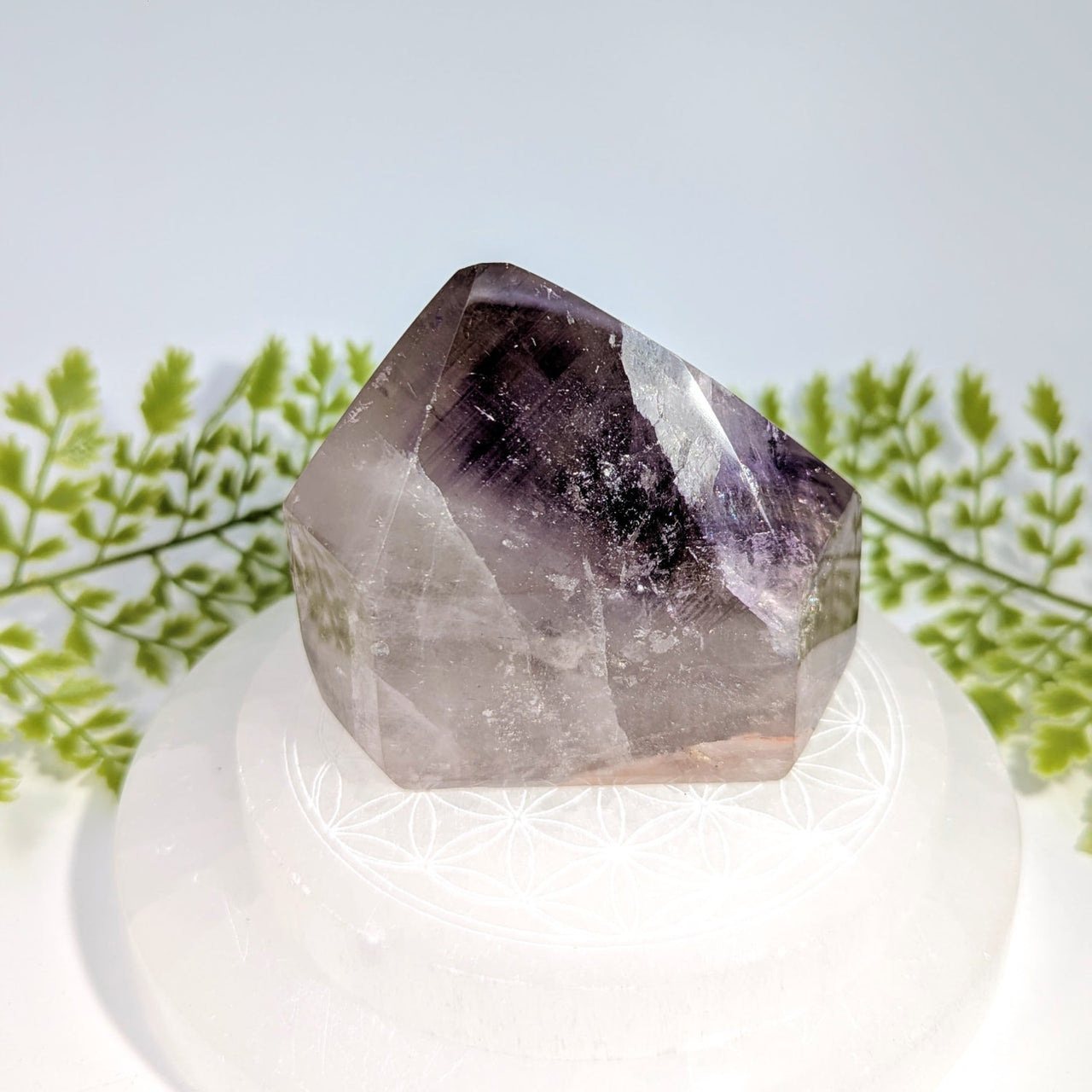 Amethyst 3’’ short generator #BC1265 with purple gradient on selenite base