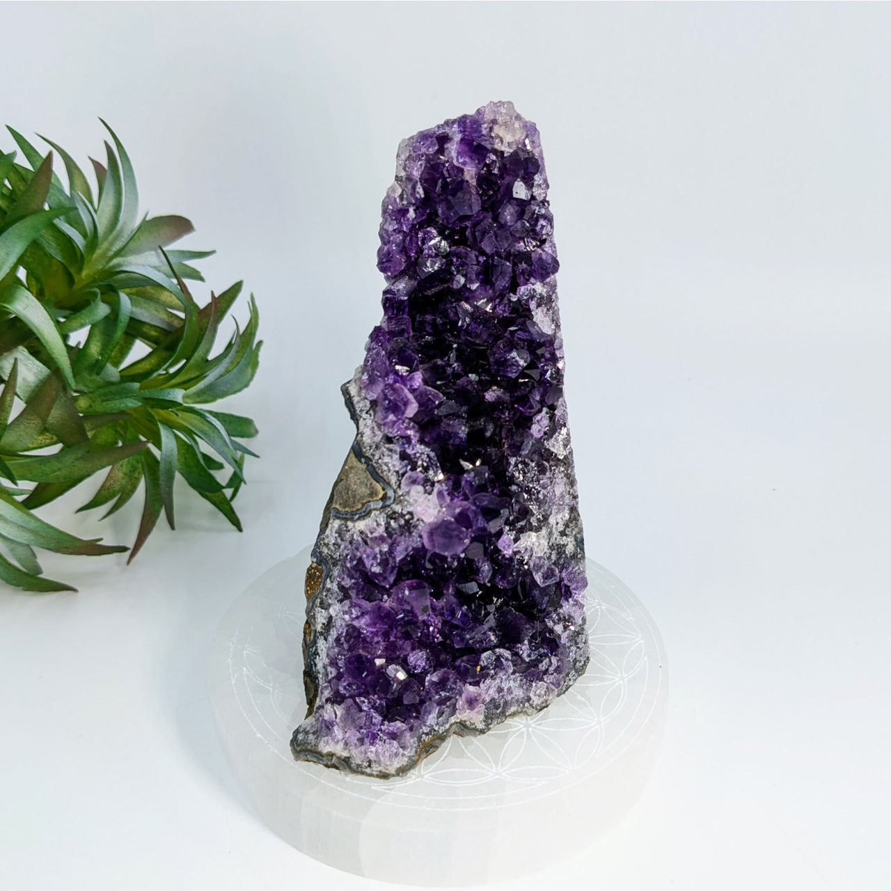 Deep purple Amethyst crystal cluster in Cut Base Geode #LV6907 with stunning formations