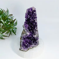 Thumbnail for Deep purple Amethyst crystal cluster in Cut Base Geode #LV6907 with stunning formations