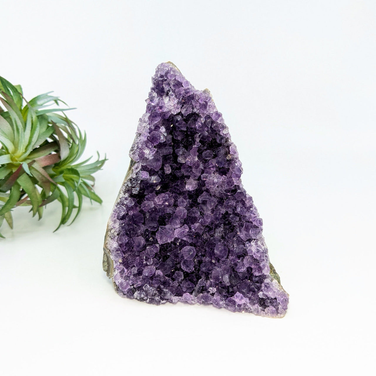 Amethyst 4.2’’ Cut Base Geode #LV6666 - $58