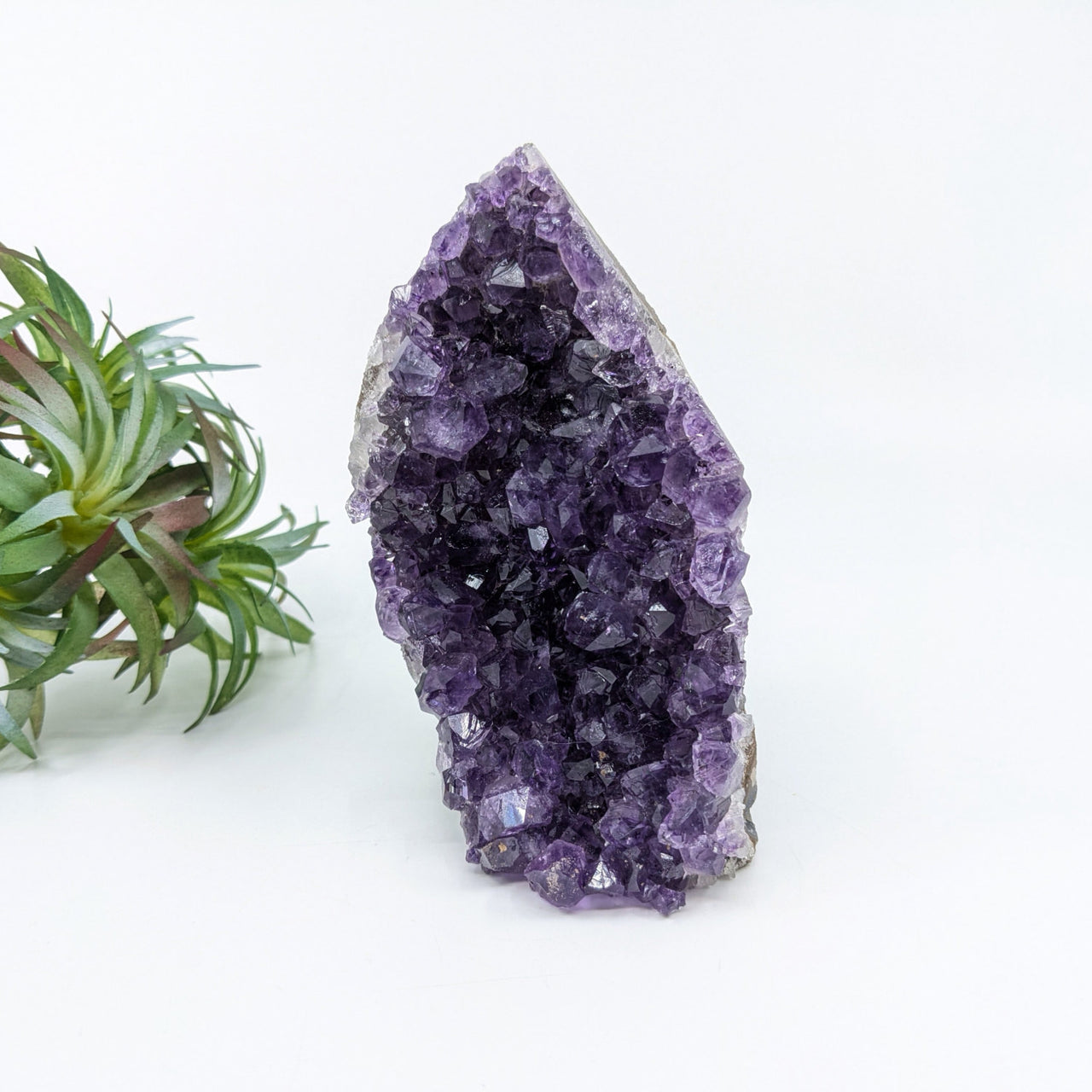 Amethyst 4.6’’ Cut Base Geode #LV6664 - $52