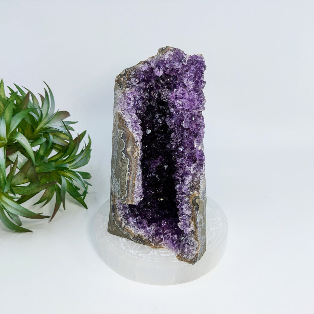 Amethyst 4.7’’ Cut Base Geode #LV6919 showcasing deep purple crystals and gray exterior