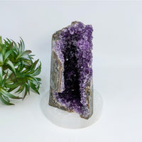 Thumbnail for Amethyst 4.7’’ Cut Base Geode #LV6919 showcasing deep purple crystals and gray exterior