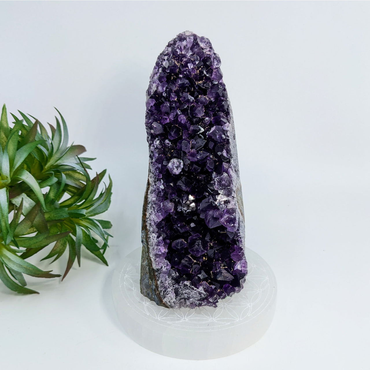 Deep purple Amethyst crystal cluster in Cut Base Geode LV6918 with jagged formations