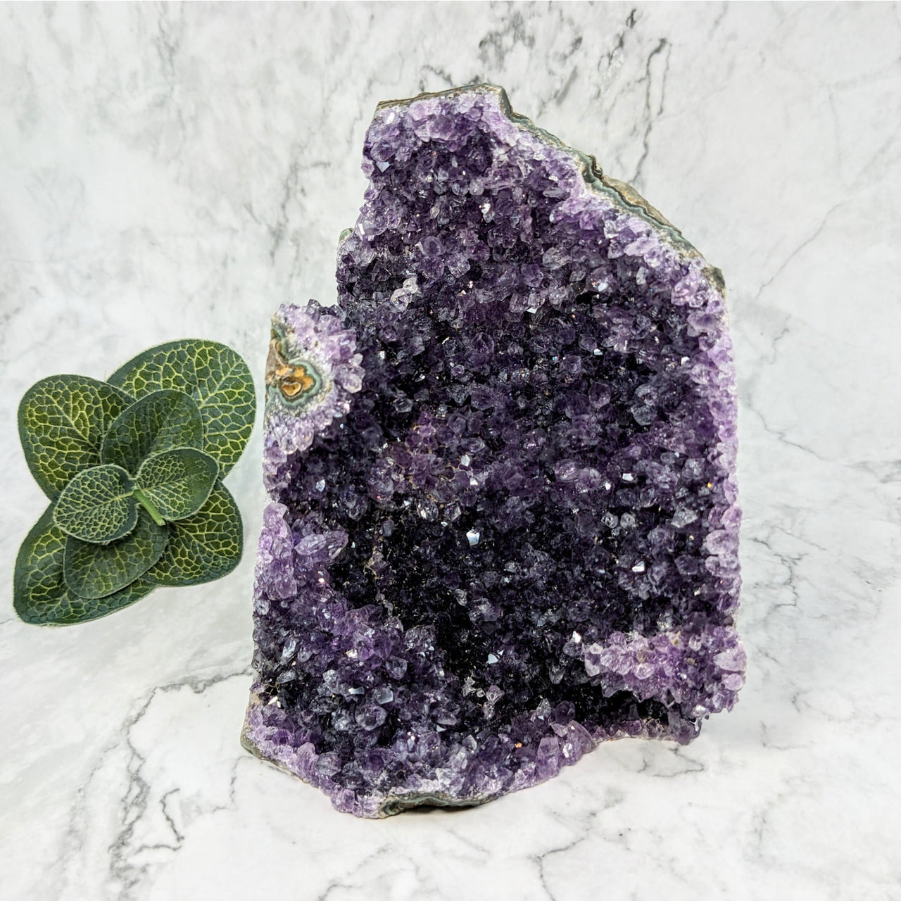 Amethyst Geode Freeform #LV5768 - Stunning 6.1’ Purple Amethite Crystal Cluster