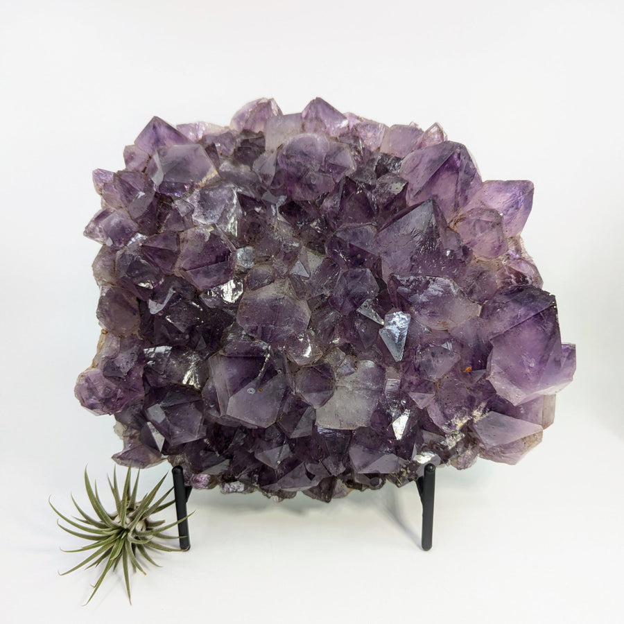 Amethyst crystal cluster on metal stand in the Amethyst 7’’ Jumbo Point Geode #LV8563
