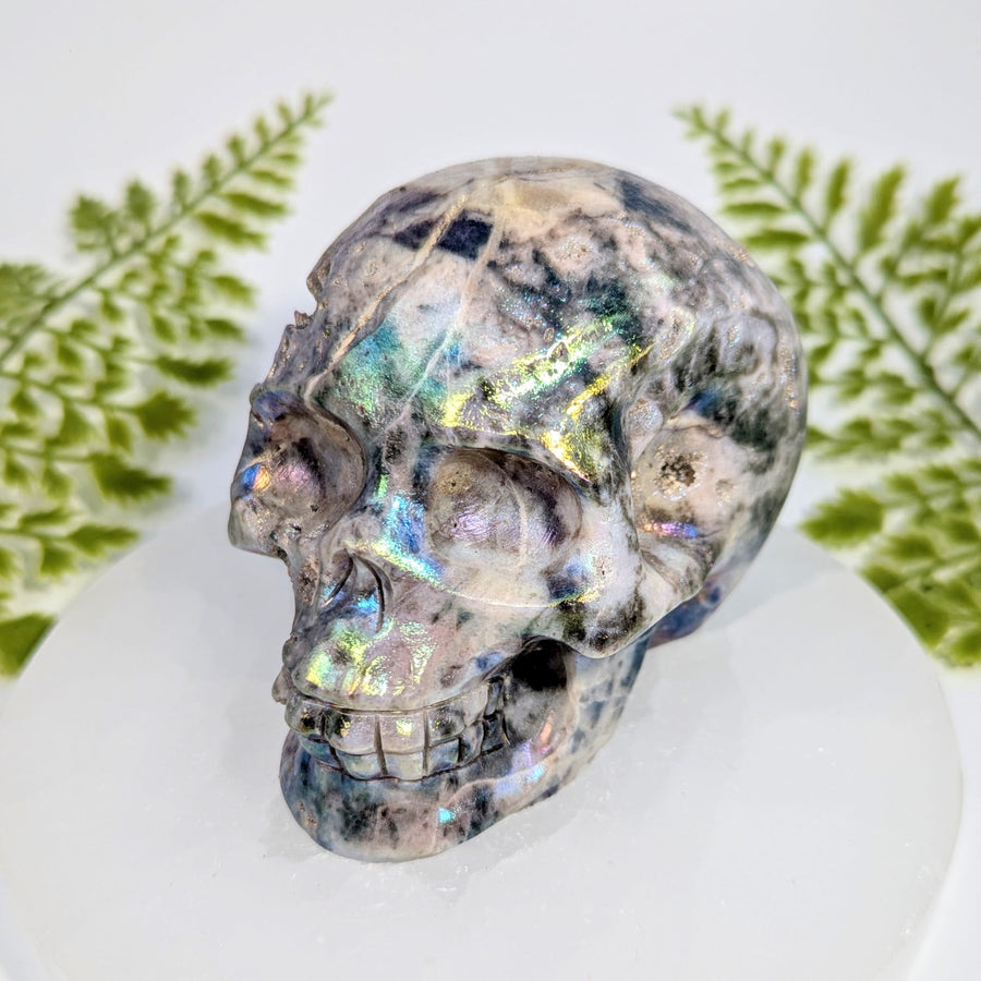 Polished Amethyst Aura 3.7’’ rainbow quartz skull #BC1005 with iridescent flashes