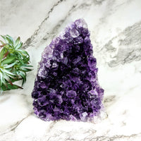 Thumbnail for Amethite crystal tree on Amethyst Druzy 5.4’ Geode Cut Base #LV4722 - Purple Crystals