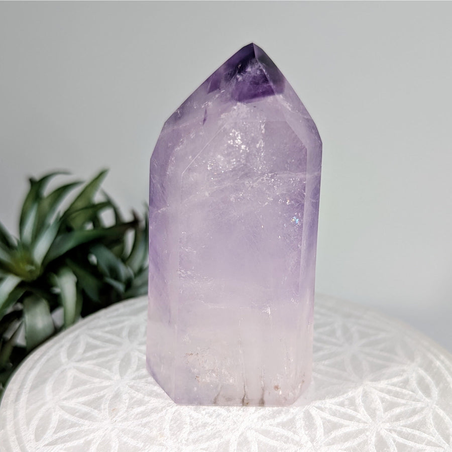Polished Amethyst Crystal Point from Amethyst Enhydro 3.2 Inch Generator Tower LV8643