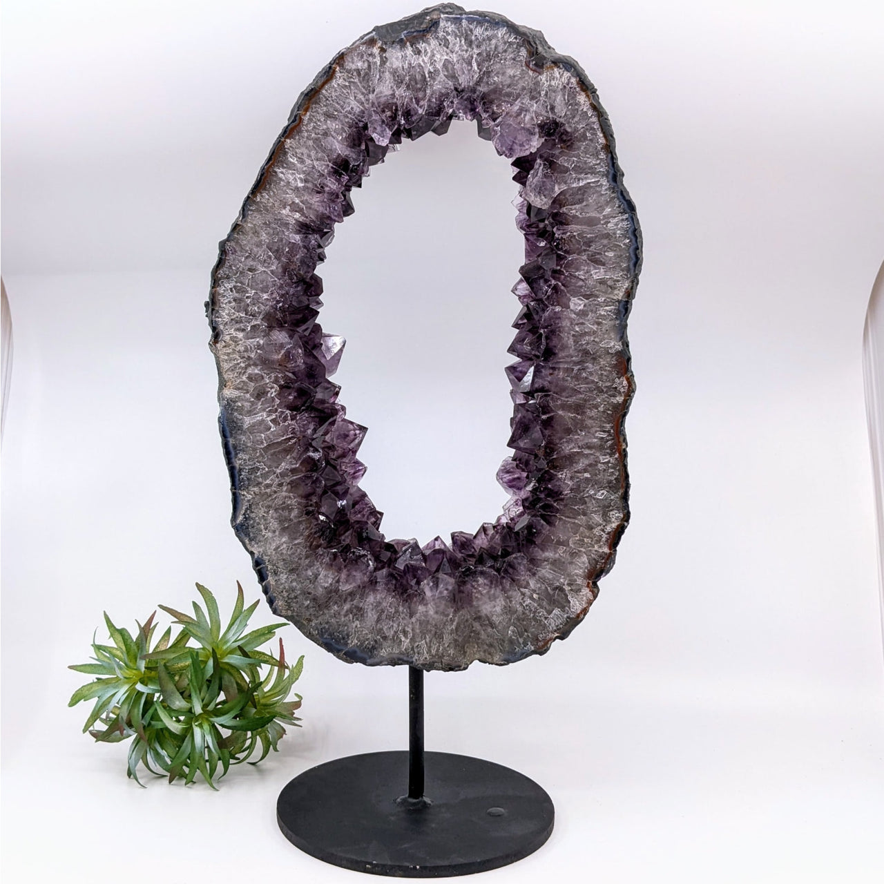 Amethyst Geode 13.3’’ Ring Specimen on Stand #LV6481 - $495