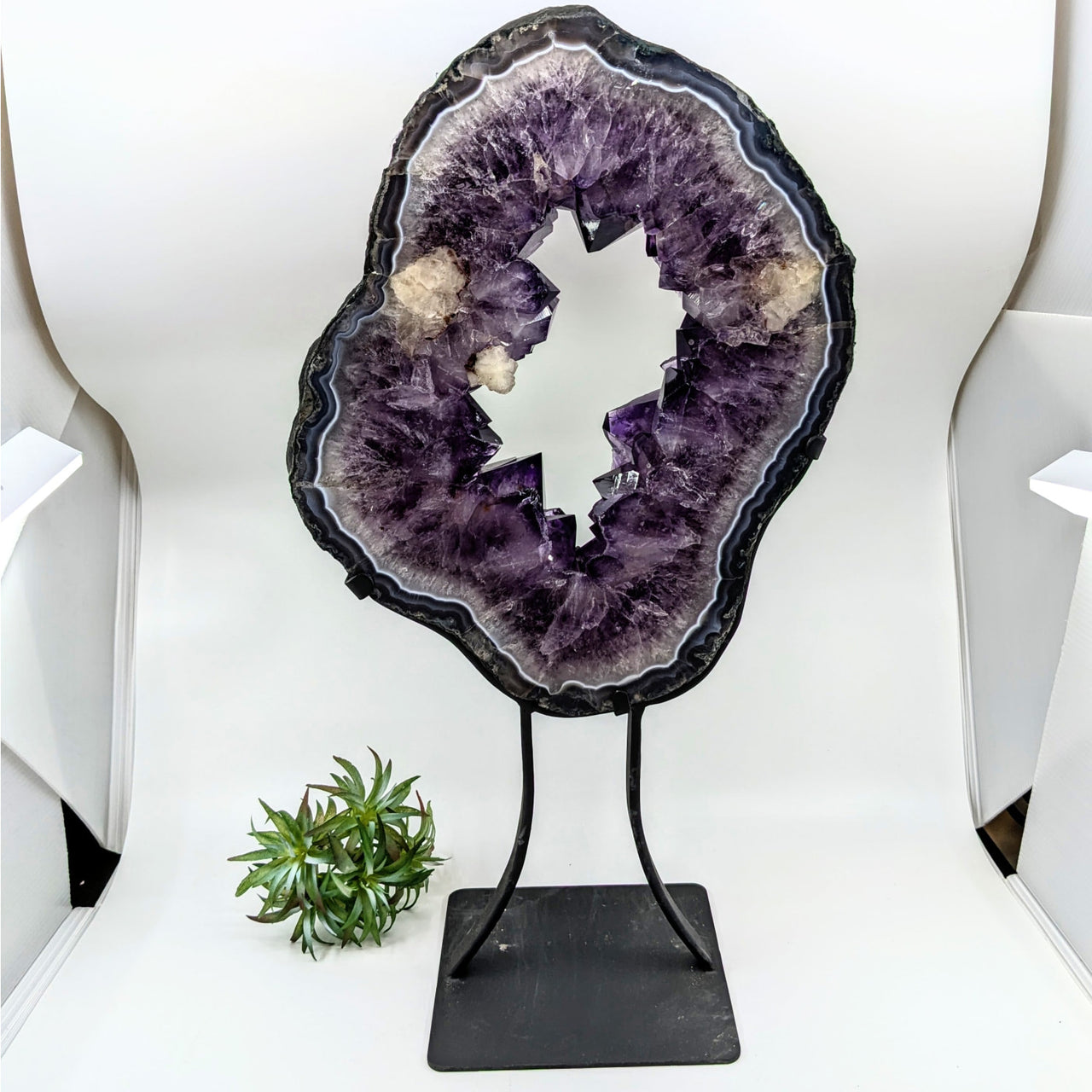 Amethyst Geode 14.3’’ Ring Specimen on Stand #LV6480 - $699