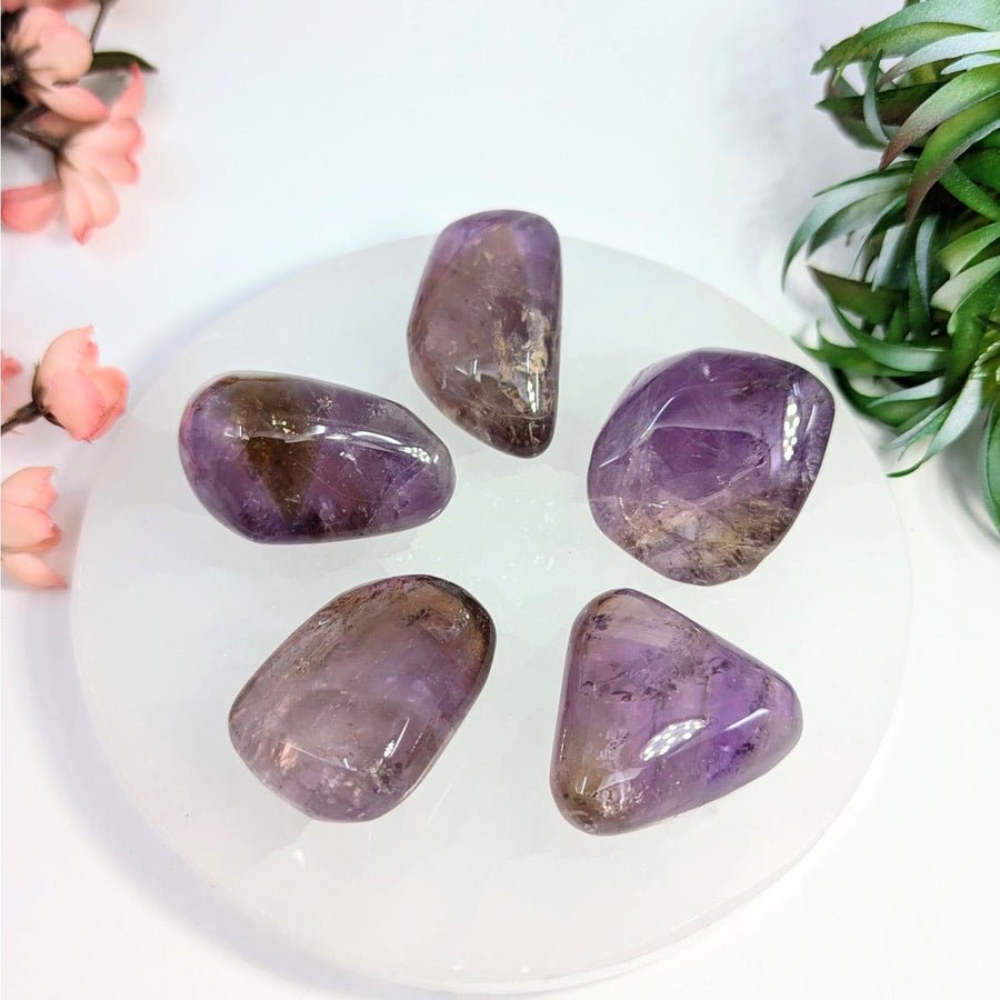Polished amethyst stones from Ametrine 1.2 - 2 inch Tumbled Pebble LV8055 set