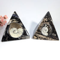 Ammonite and Orthoceras 3.3’’ Fossil Pyramid #LV8940 - $69