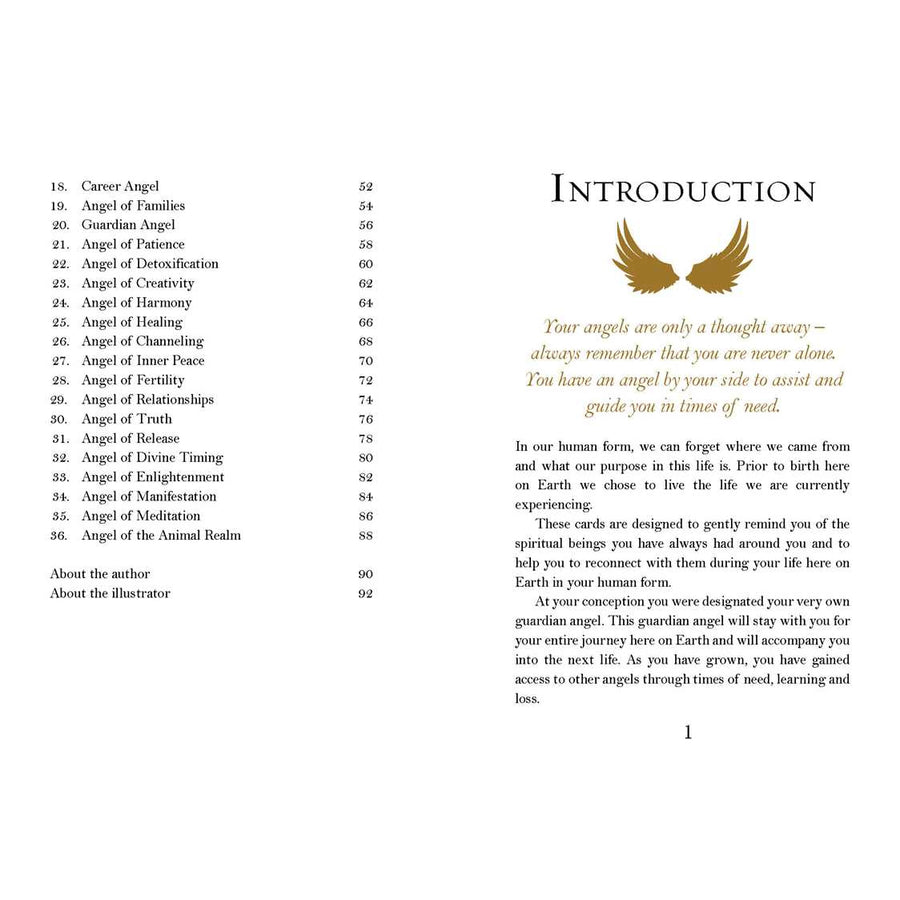Angel card introduction page from Angel Oracle by Debbie Malone product LV4196