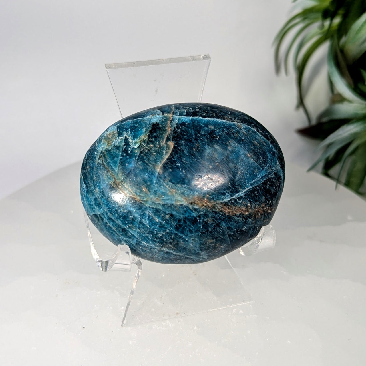 Apatite 1.9’’ Pebble Palm #LV9908 - $25