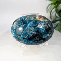 Apatite 2.4’’ Pebble Palm #LV9907 - $40