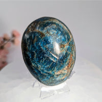 Apatite 2.5’’ Palm Pebble #LV9820 - $39