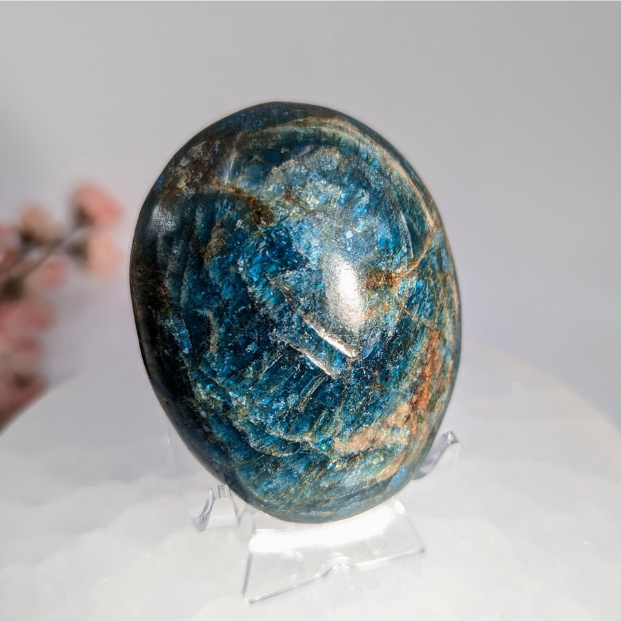 Apatite 2.5’’ Palm Pebble #LV9820 - $39