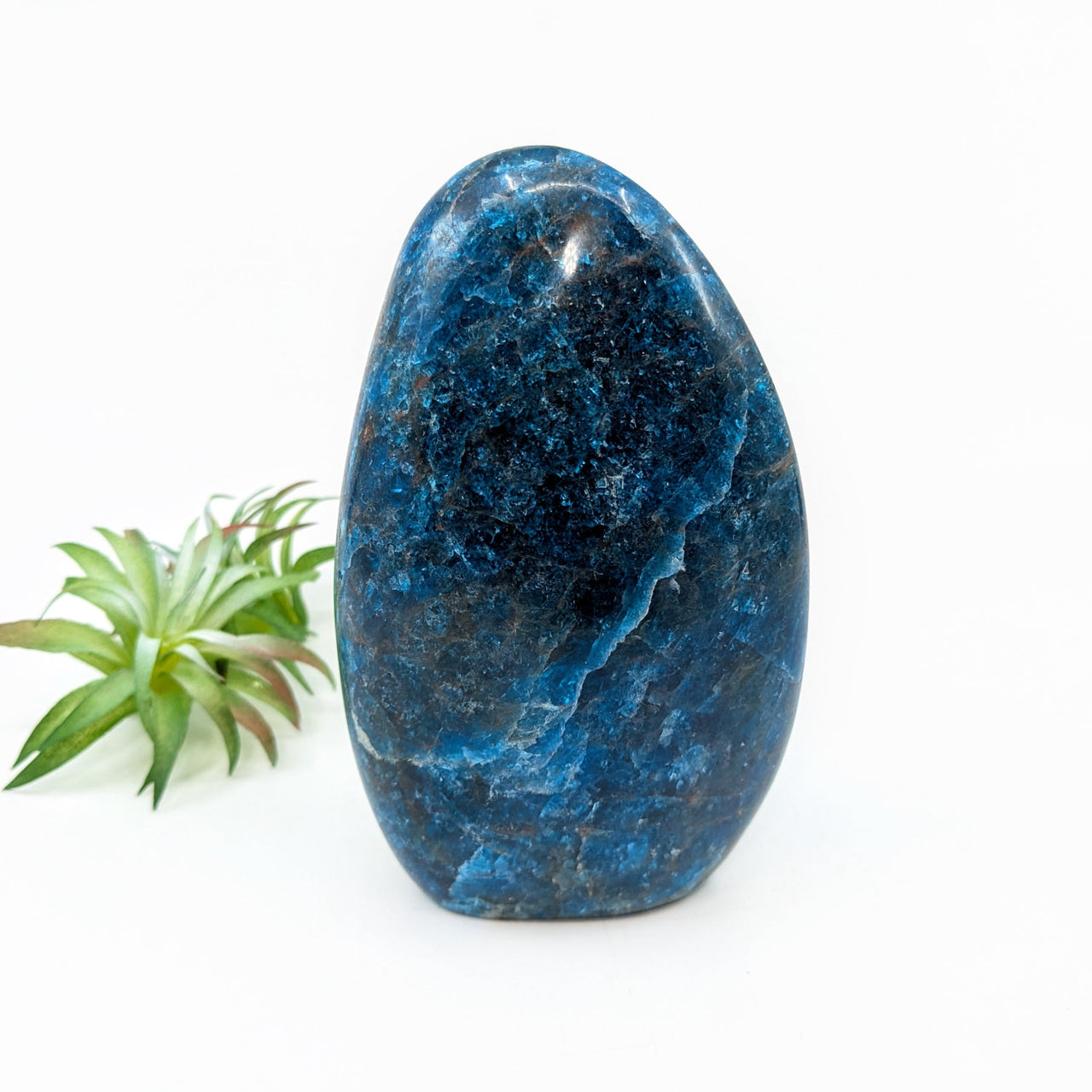 Apatite 5.6’’ Freeform #LV6824 - $115