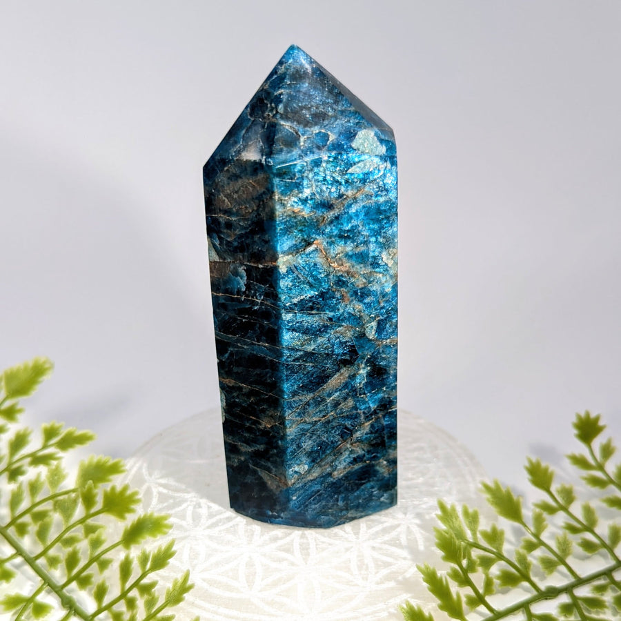 Vibrant blue Apatite 5’’ Tower #BC1118 with golden black veining