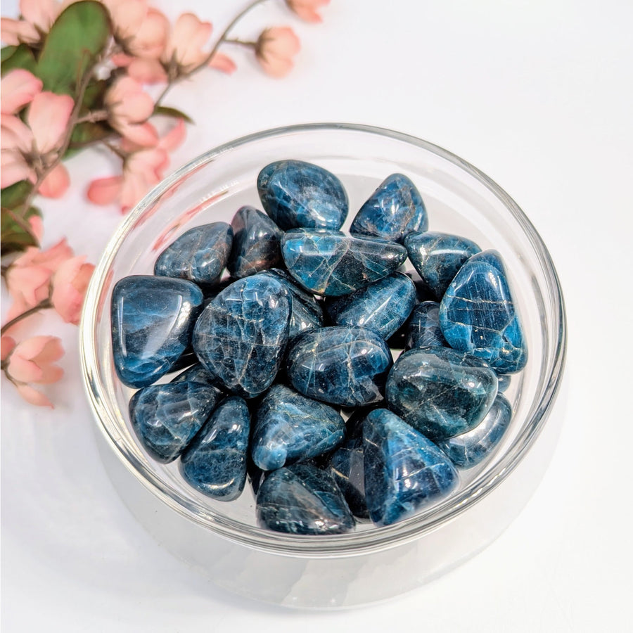 Polished blue Apatite stones in a bowl for the Apatite .8 - 1.3 Inch A+ Tumbled Stone #LV8058