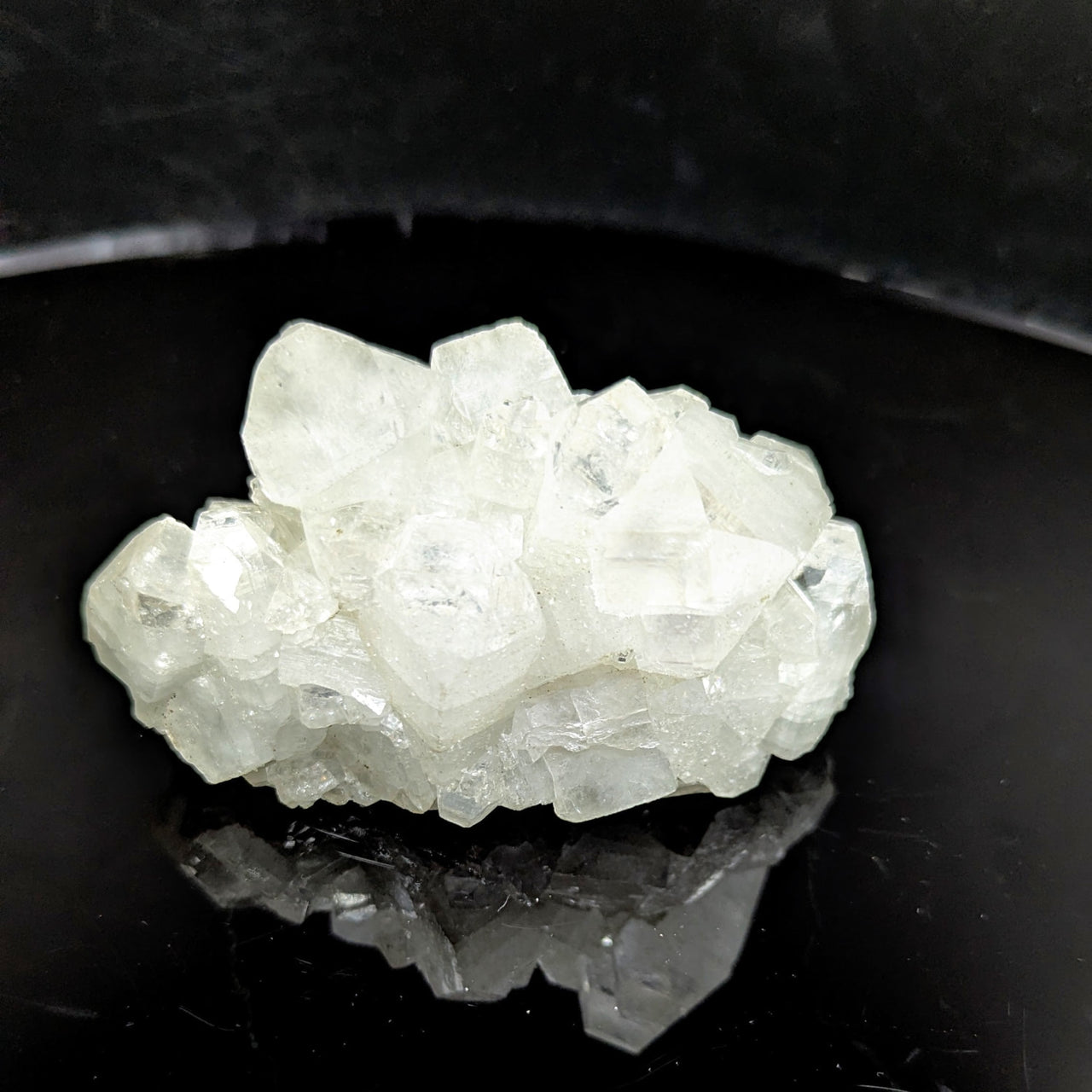 Apophyllite 3.75" Cluster #BC1528