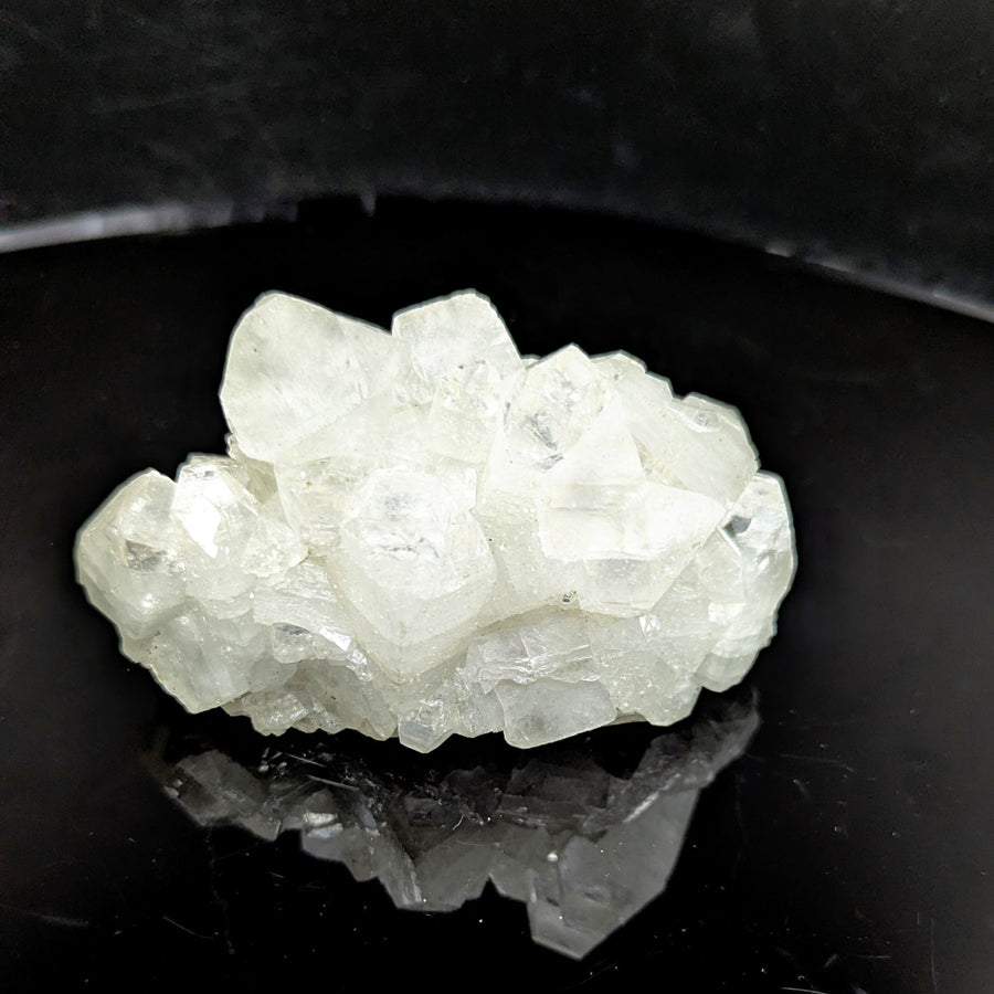 Apophyllite 3.75" Cluster #BC1528