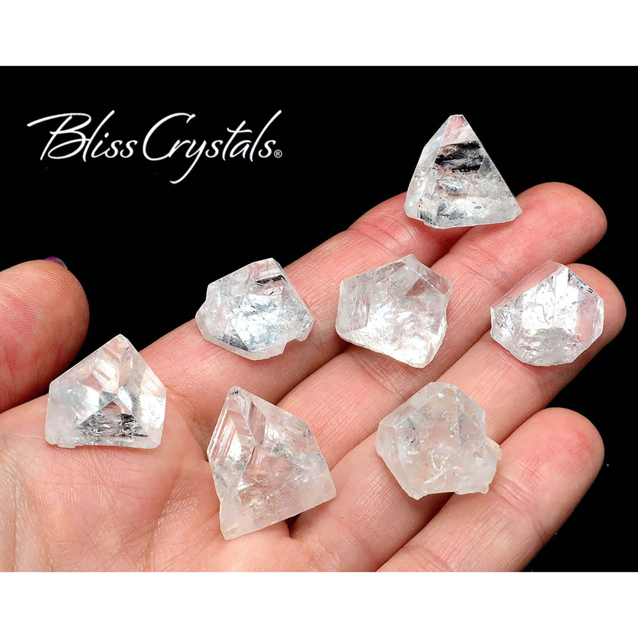 A hand holding five clear quartz crystals from APOPHYLLITE Rough Point Baby Tips 6 pack