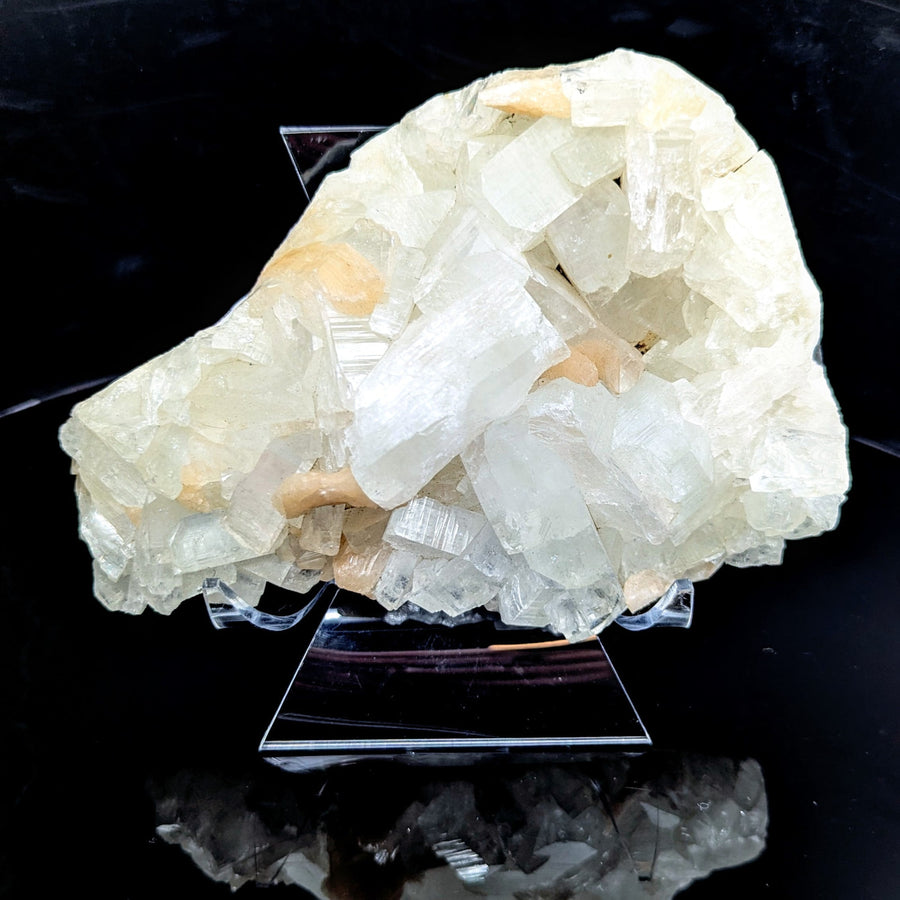Apophyllite w Stillbite 6.5" Cluster #BC1526