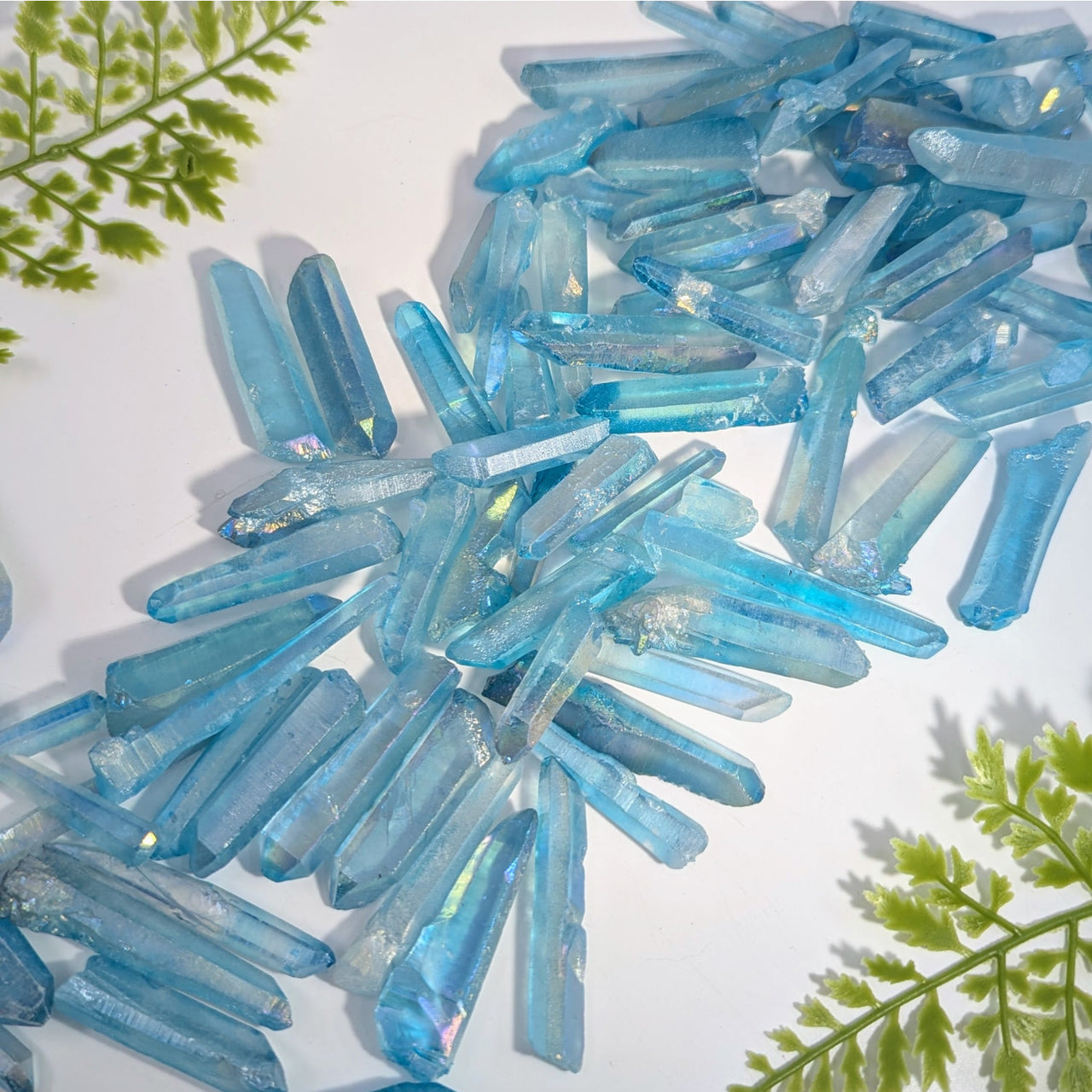 Aqua aura rough crystal points 1.5-2.75 inches in translucent blue for jewelry and gemstone collections
