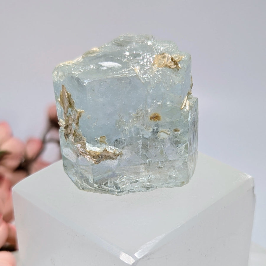 Translucent light blue aquamarine crystal with golden inclusions, 1.5 inch mica specimen