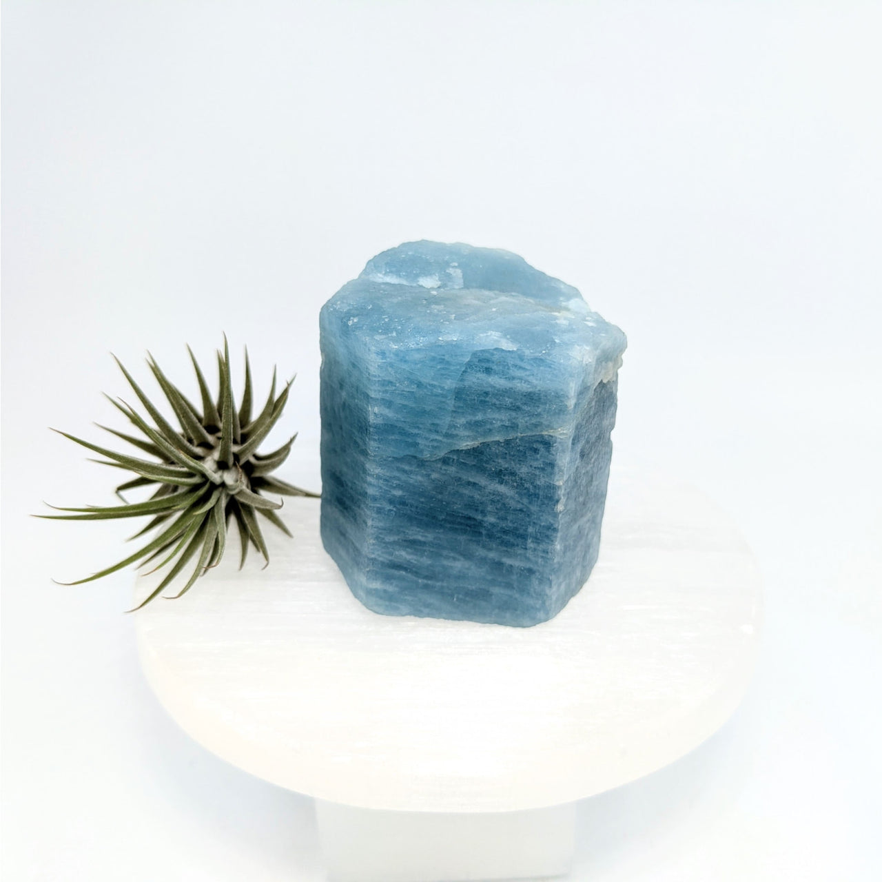 Aquamarine 2.2’’ Rough Specimen #LV6312 - $495