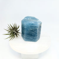 Thumbnail for Aquamarine 2.2’’ Rough Specimen #LV6312 - $495