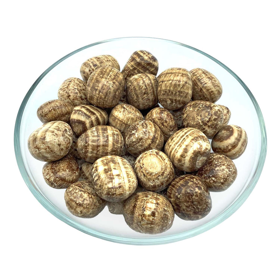 Striped brown taro roots in a glass dish for Aragonite Tumbled product #SK3359